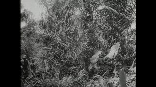 Link to Video | Paul Karl Lieberenz