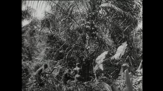 Link to Video | Paul Karl Lieberenz