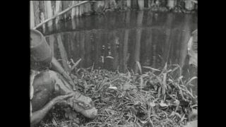 Link to Video | Paul Karl Lieberenz