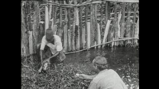 Link zum Video | Paul Lieberenz