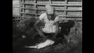 Link to Video | Paul Karl Lieberenz