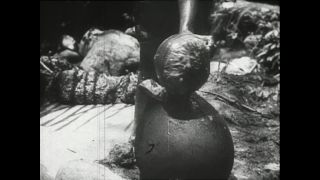 Link zum Video | Paul Lieberenz, Kamerun