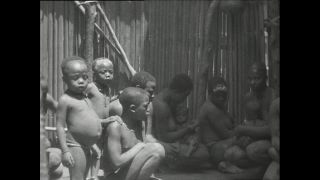 Link zum Video | Paul Lieberenz, Kamerun