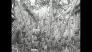 Link to Video | Paul Karl Lieberenz, Kamerun