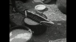 Link to Video | Paul Karl Lieberenz, Kamerun