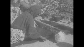 Link to Video | Paul Karl Lieberenz