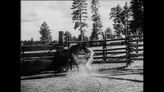 Link zum Video | Paul Lieberenz