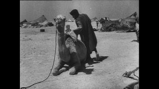 Link to Video | Paul Karl Lieberenz