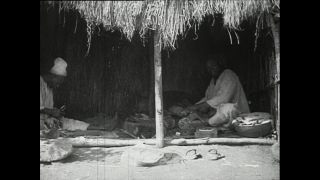 Link zum Video | Paul Lieberenz, Kamerun