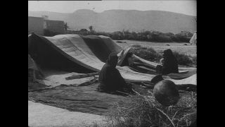 Link zum Video | Paul Lieberenz