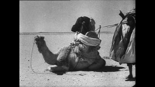 Link to Video | Paul Karl Lieberenz