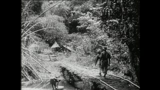 Link to Video | Paul Karl Lieberenz