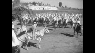 Link to Video | Paul Karl Lieberenz