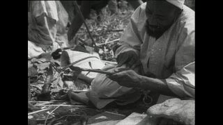 Link zum Video | Paul Lieberenz, Kamerun