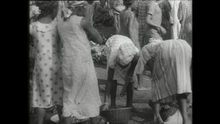 Link zum Video | Paul Lieberenz