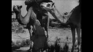 Link to Video | Paul Karl Lieberenz