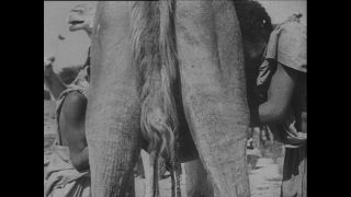 Link to Video | Paul Karl Lieberenz