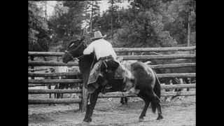 Link zum Video | Paul Lieberenz