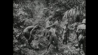 Link to Video | Paul Karl Lieberenz