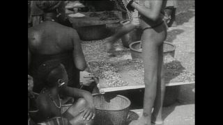 Link to Video | Paul Karl Lieberenz, Kamerun