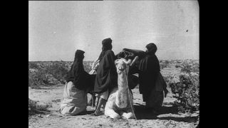 Link to Video | Paul Karl Lieberenz