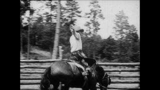 Link zum Video | Paul Lieberenz