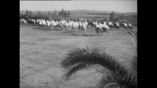 Link to Video | Paul Karl Lieberenz