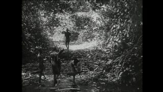 Link to Video | Paul Karl Lieberenz