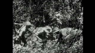 Link to Video | Paul Karl Lieberenz