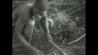 Link to Video | Paul Karl Lieberenz, Kamerun