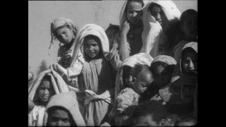 Link zum Video | Paul Lieberenz