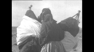 Link to Video | Paul Karl Lieberenz