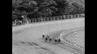 Link to Video | Paul Karl Lieberenz