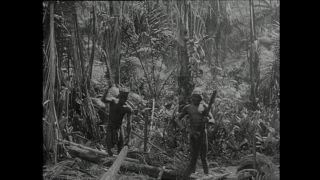 Link to Video | Paul Karl Lieberenz