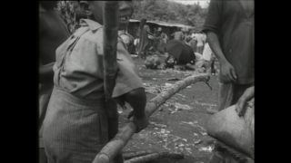 Link to Video | Paul Karl Lieberenz