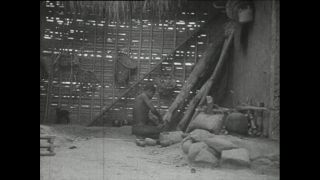 Link to Video | Paul Karl Lieberenz, Kamerun