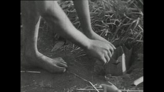 Link zum Video | Paul Lieberenz, Kamerun