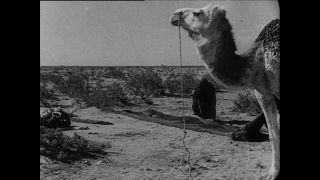 Link to Video | Paul Karl Lieberenz