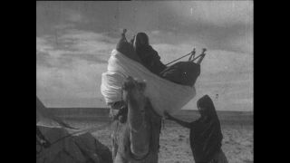 Link to Video | Paul Karl Lieberenz