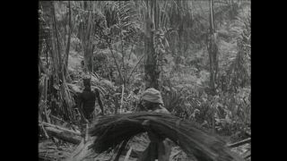 Link to Video | Paul Karl Lieberenz