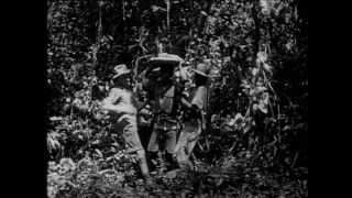 Link to Video | Paul Karl Lieberenz