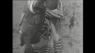 Link zum Video | Paul Lieberenz