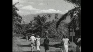 Link to Video | Paul Karl Lieberenz