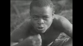 Link zum Video | Paul Lieberenz, Kamerun