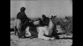 Link to Video | Paul Karl Lieberenz