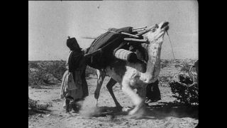 Link to Video | Paul Karl Lieberenz