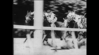 Link zum Video | Paul Lieberenz, Sport