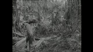 Link to Video | Paul Karl Lieberenz