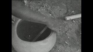 Link to Video | Paul Karl Lieberenz, Kamerun