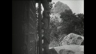 Link zum Video | Paul Lieberenz, Kamerun